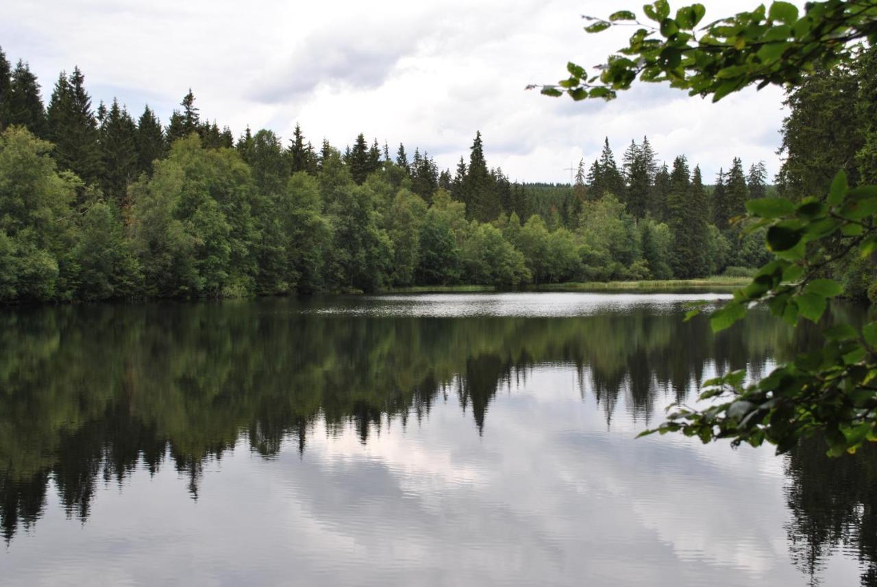 Harz-Rose Lägenhet Braunlage Exteriör bild