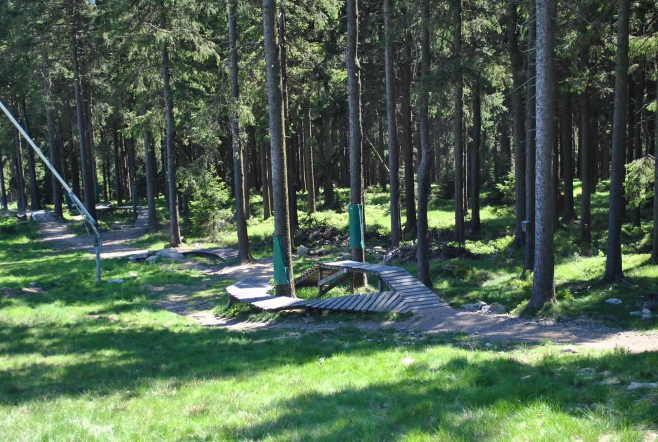 Harz-Rose Lägenhet Braunlage Exteriör bild