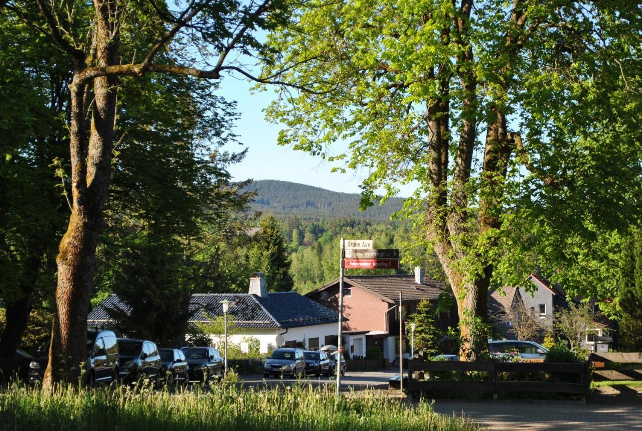 Harz-Rose Lägenhet Braunlage Exteriör bild