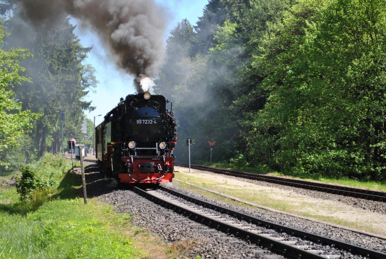 Harz-Rose Lägenhet Braunlage Exteriör bild