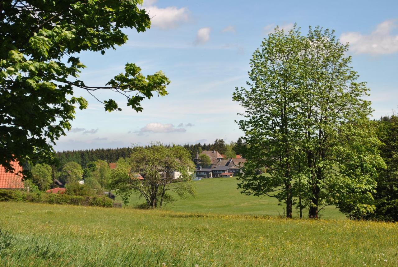 Harz-Rose Lägenhet Braunlage Exteriör bild