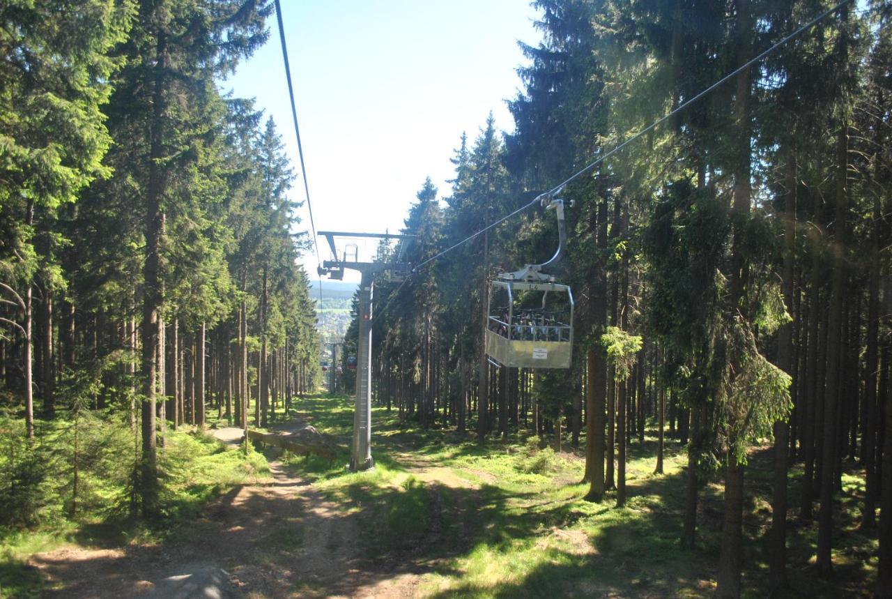 Harz-Rose Lägenhet Braunlage Exteriör bild