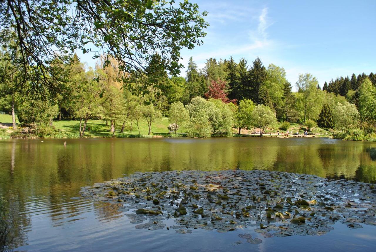 Harz-Rose Lägenhet Braunlage Exteriör bild