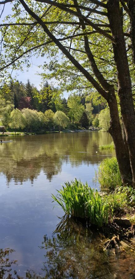 Harz-Rose Lägenhet Braunlage Exteriör bild