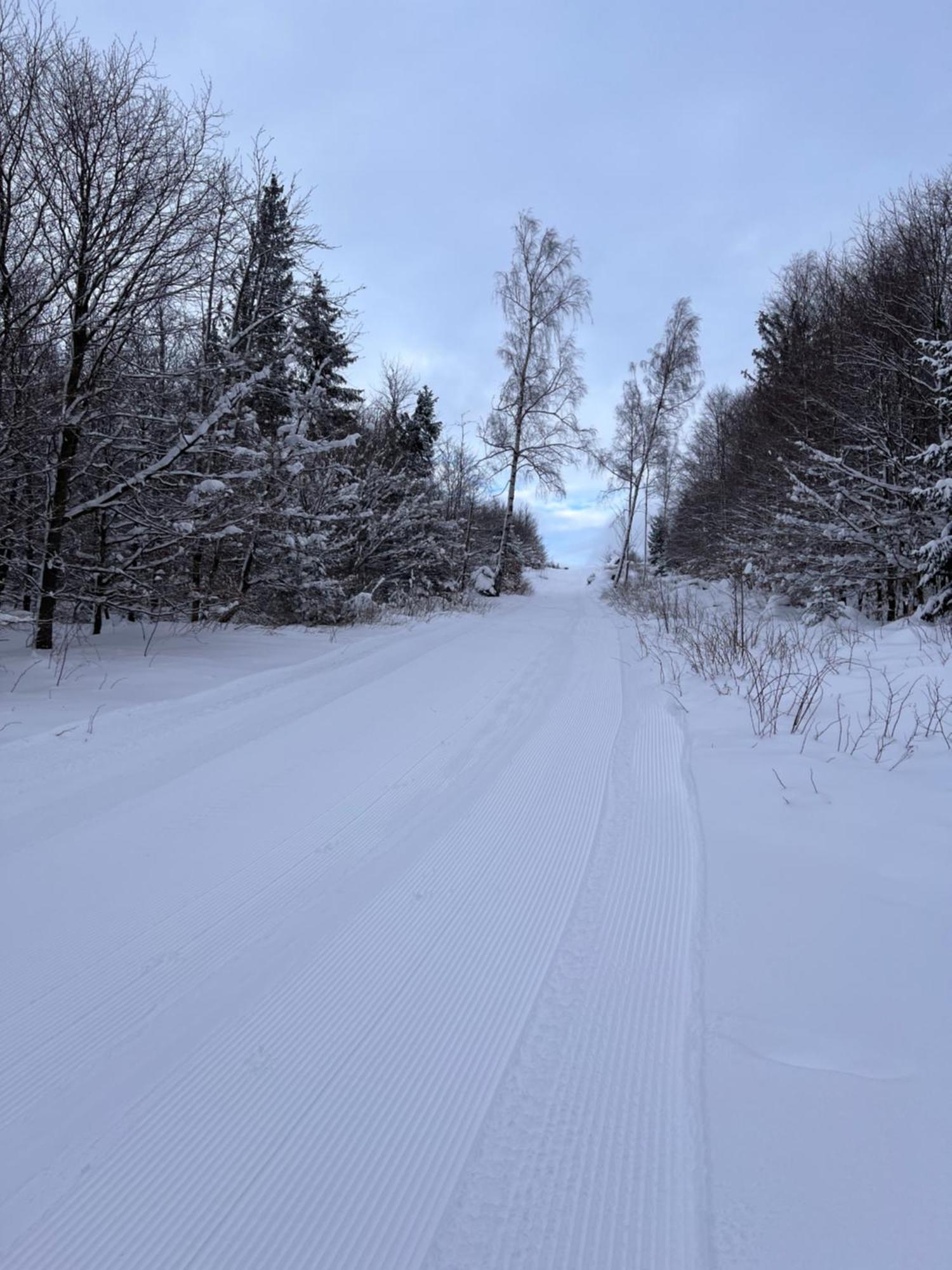 Harz-Rose Lägenhet Braunlage Exteriör bild