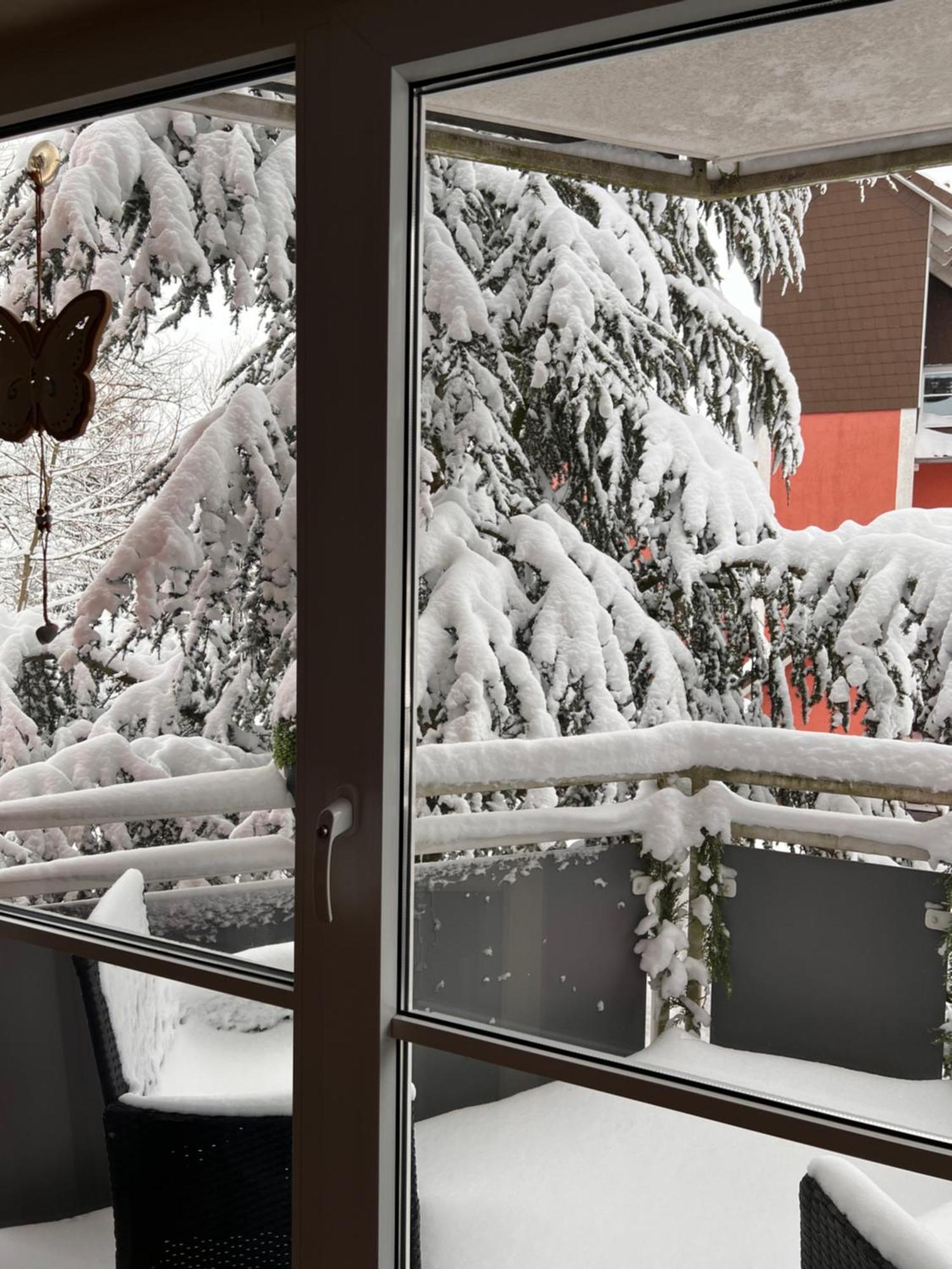 Harz-Rose Lägenhet Braunlage Exteriör bild