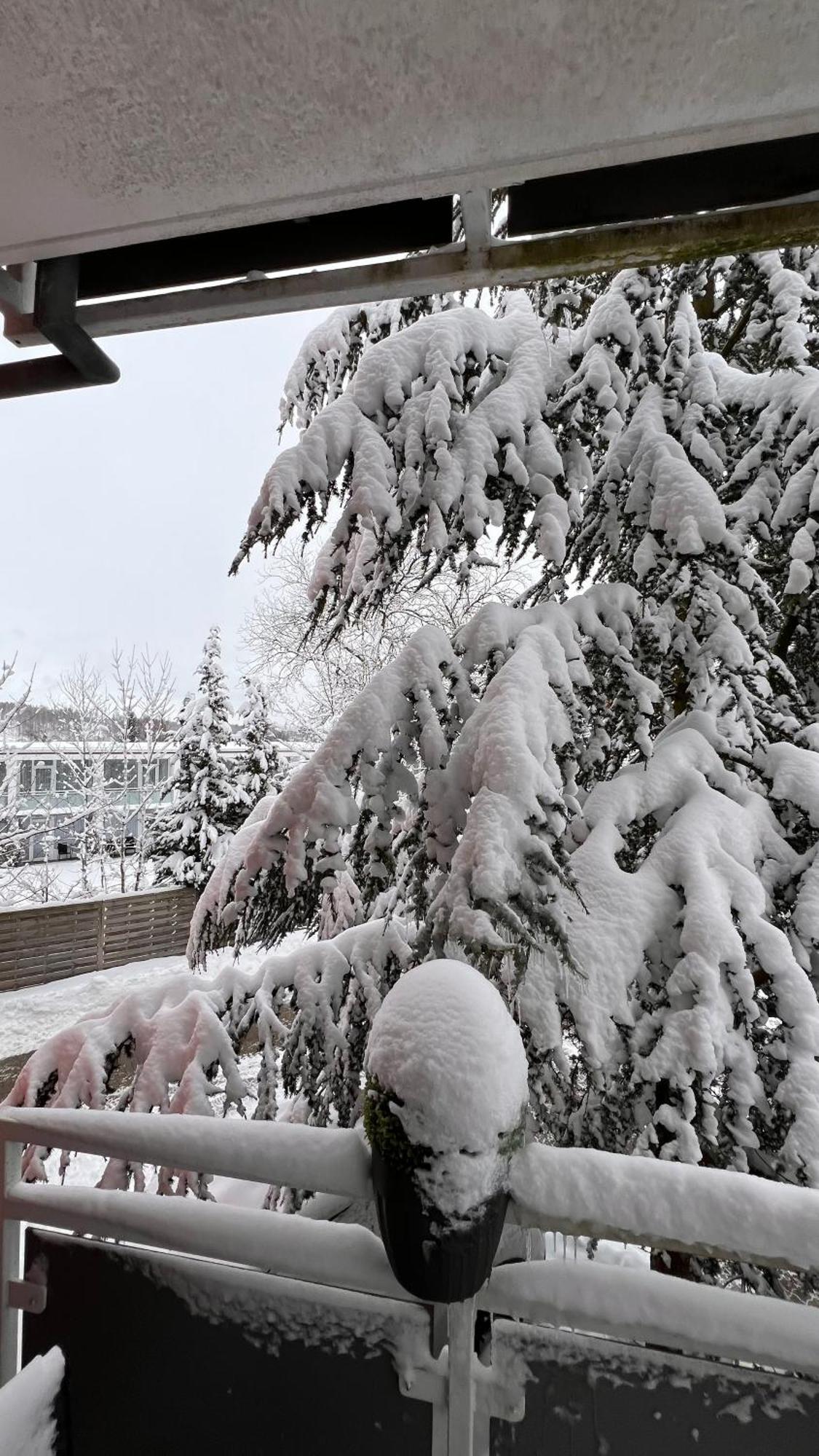 Harz-Rose Lägenhet Braunlage Exteriör bild